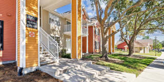 Vista Lake Ned Gallery 15