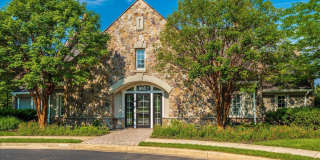 3907 BRAVEHEART Circle Gallery 64