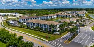 Portofino Vineyards Gallery 3