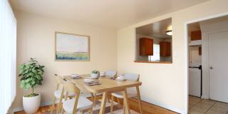 Central Park Gallery 2