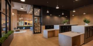 The Broadleaf Gallery 23