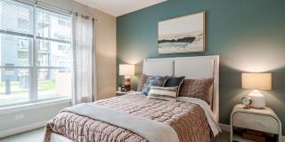 Aster at the Summit Gallery 9