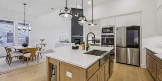 Beautiful 4 bedroom in desirable Prosper. Gallery 15