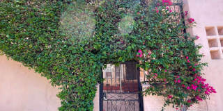 5351  Louis Place LLC Gallery 5