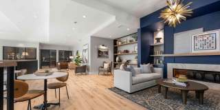 Solis Birkdale Gallery 19