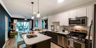 Ashton at Dulles Corner Gallery 18