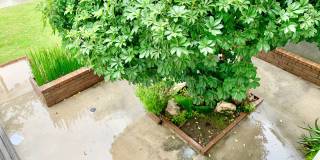 Five Bedroom Single Family Home in Irvine! Gallery 5