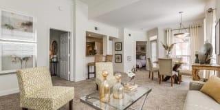 Las Palmas Gallery 36