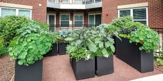 AMLI Deerfield Gallery 14