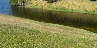 135 Brier Cir Gallery 1