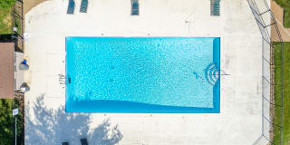 The Nelson Gallery 16