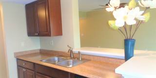 Vero Beach Rentals. Vero Beach Homes For Rent. Vero Beach Rent, LLC and Property Management Company Gallery 9