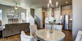 Mangold831 (KC-LN) Gallery 24