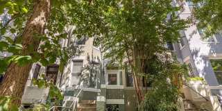 Charming 3BR Duplex in Dupont Circle Gallery 1