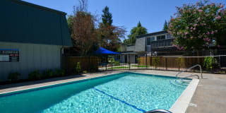 The Boardwalk Gallery 10