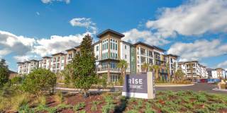 RISE Bartram Park Gallery 11