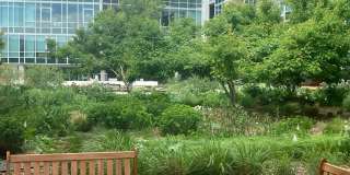 Charming 1BR Condo in Denver Gallery 37