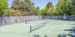 Driftwood Village Gallery 27