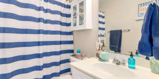 5924 Osprey Cove Drive Gallery 7