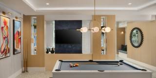 Tortoise One Gallery 55