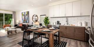 Ovelo Hollywood Gallery 13