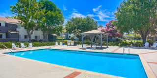 Las Ventanas Gallery 1