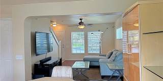 13129 THOROUGHBRED Loop Gallery 14