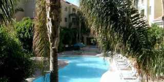 Biltmore / Arcadia Lite - 32nd St & Camelback Gallery 20
