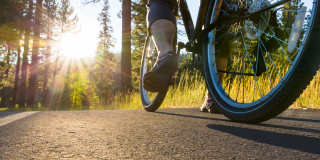 The Fox & The Grouse Gallery 26