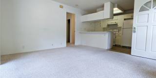 373 Mananai Place Gallery 4
