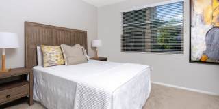 Paragon at Old Town Gallery 24