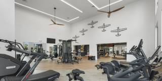 Alta Altitude Gallery 17