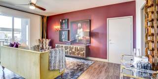 The Douglas at Stonelake Gallery 17