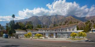 Aloe Palm Canyon Gallery 1