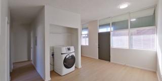 University Manor - Newly Renovated Units just a short walk from Campus! Gallery 18