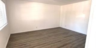 302 Dumont Ave Gallery 6