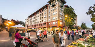 Rafael Town Center Gallery 1