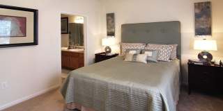 Reed Creek Gallery 6