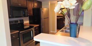 Vero Beach Rentals. Vero Beach Homes For Rent. Vero Beach Rent, LLC and Property Management Company Gallery 7