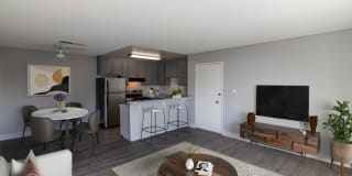 Mode Mode Gallery 15