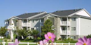 Cedar Breaks Gallery 11