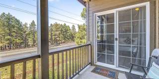 2561 W Cripple Creek Drive Gallery 12