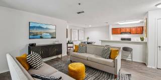 Avenues of Kennesaw Gallery 2