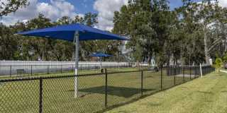 Sentosa Riverview Gallery 44