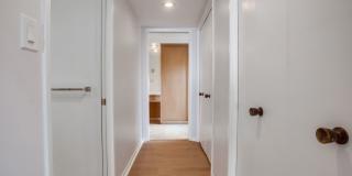 Modern Ocean View Home in La Jolla 4 Bed, 3 Bath Gallery 41