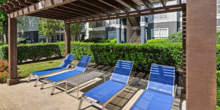 Oak Forest Gallery 2