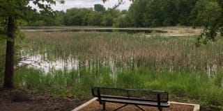The Woodlands of Minnetonka Gallery 30