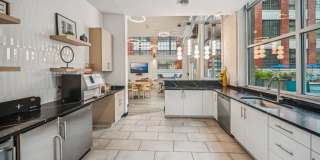 The Locks The Locks Gallery 15