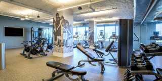 Ocean 650 Gallery 17