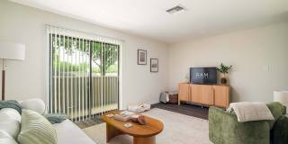 Mountain View Gallery 1